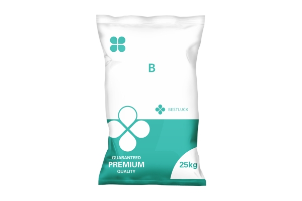 B